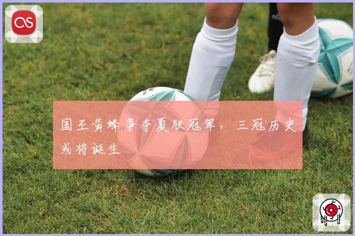 国王黄蜂争夺夏联冠军，三冠历史或将诞生