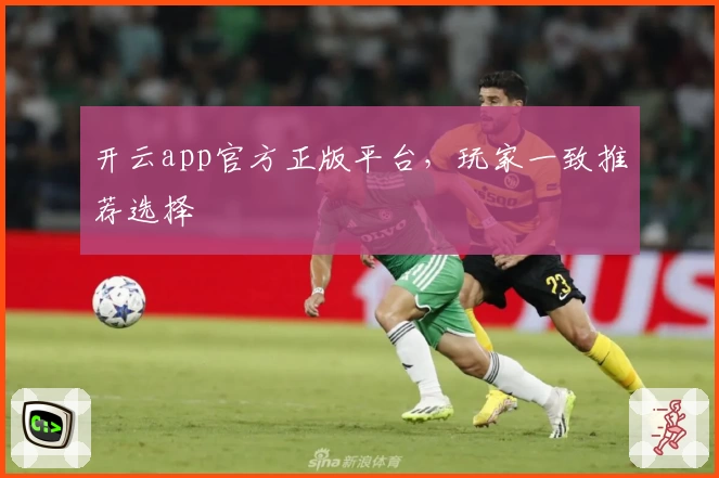 开云app官方正版平台，玩家一致推荐选择