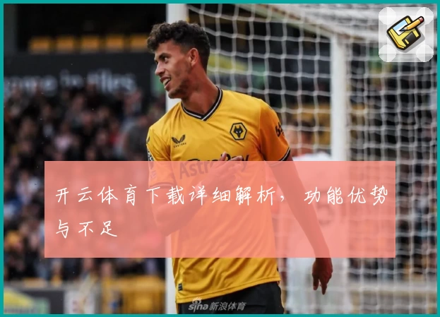 开云体育下载详细解析，功能优势与不足
